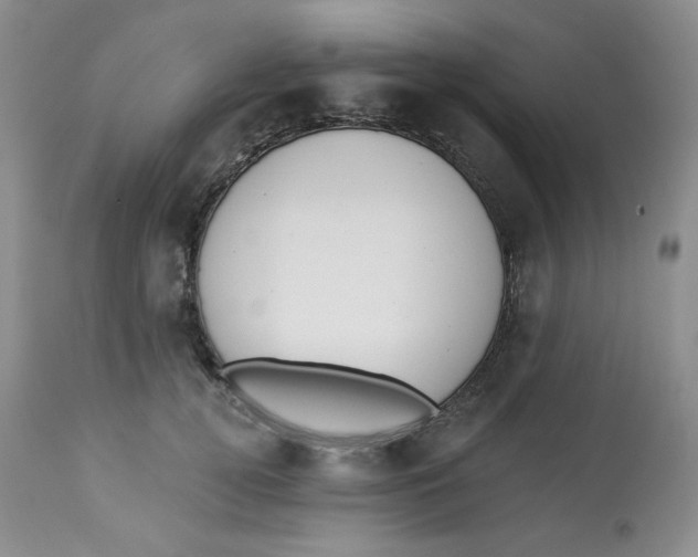 X0000112860752200909111508