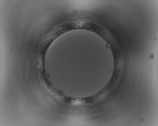 X0000112860754200909111508