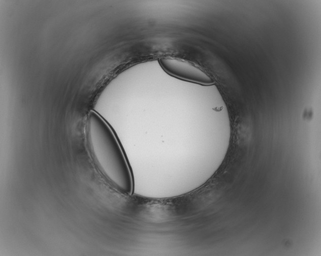 X0000112860756200909111508