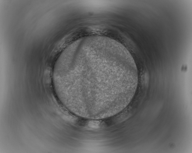 X0000112860757200909111508