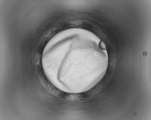 X0000112860758200909111508