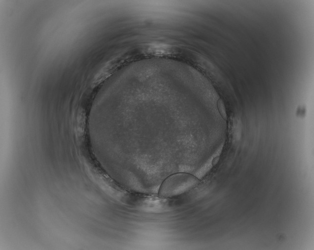 X0000112860760200909111508