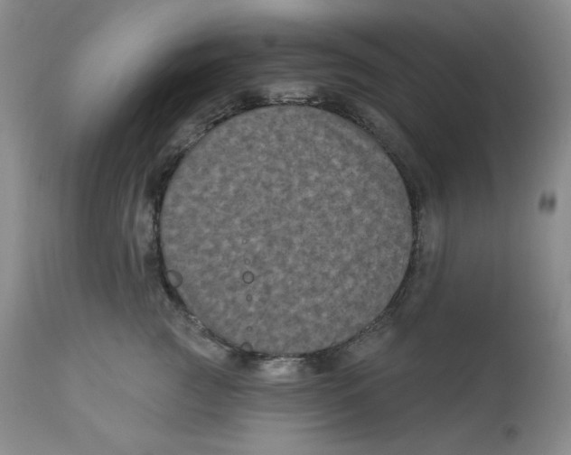 X0000112860761200909111508