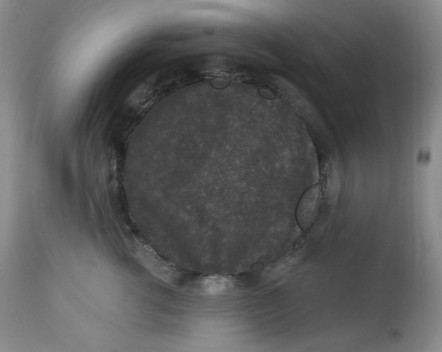 X0000112860762200909111508