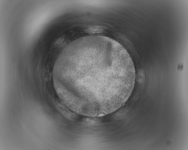 X0000112860763200909111508