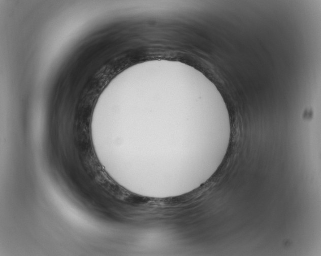 X0000112860764200909111508