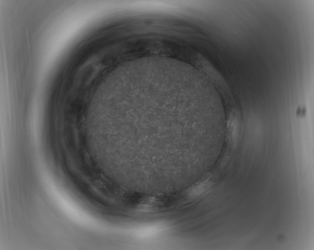 X0000112860765200909111509