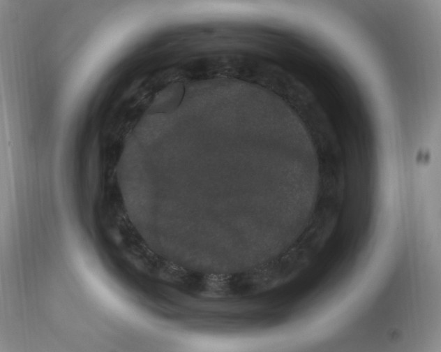 X0000112860766200909111509