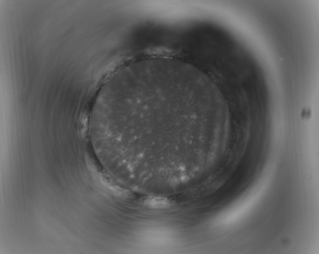 X0000112860767200909111509