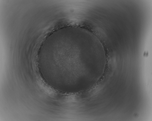 X0000112860769200909111508