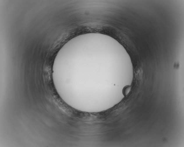 X0000112860772200909111508