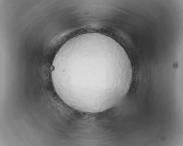 X0000112860773200909111508