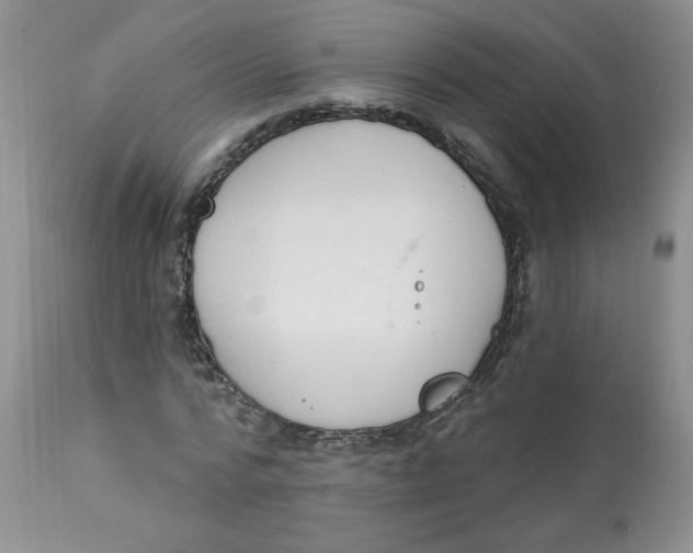 X0000112860776200909111508