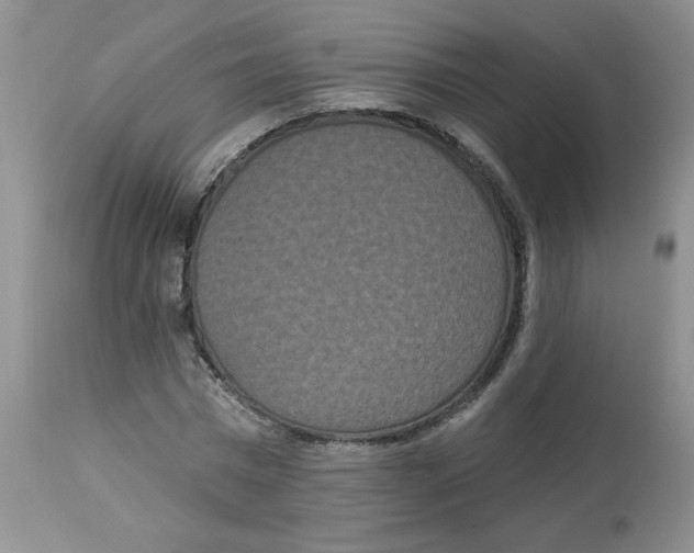 X0000112860777200909111508