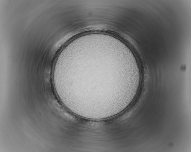 X0000112860778200909111508