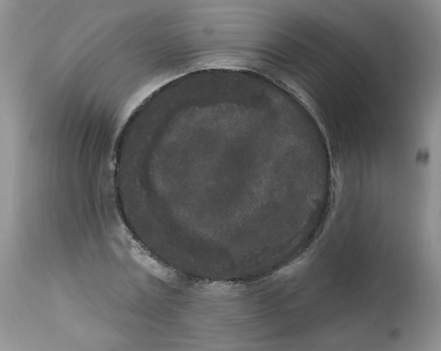 X0000112860779200909111508