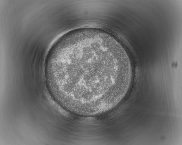 X0000112860784200909111508