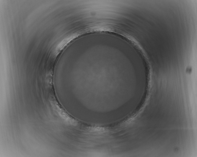 X0000112860785200909111508