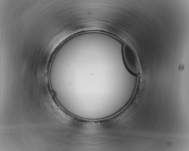 X0000112860789200909111507