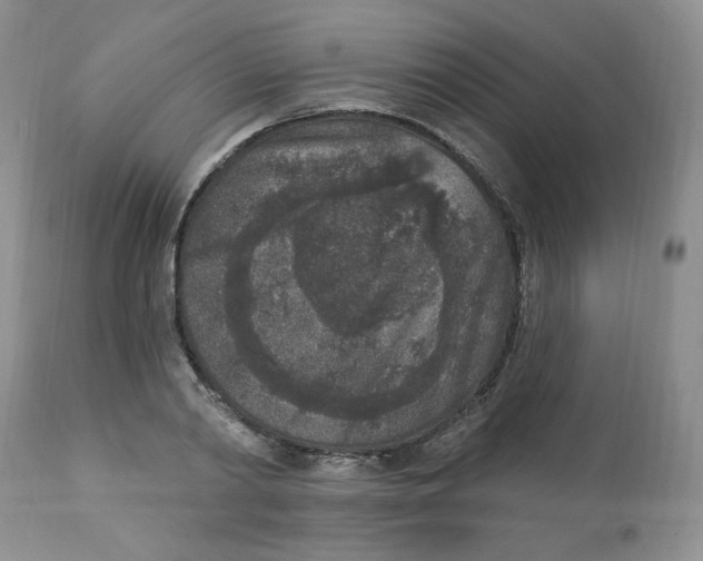 X0000112860790200909111507