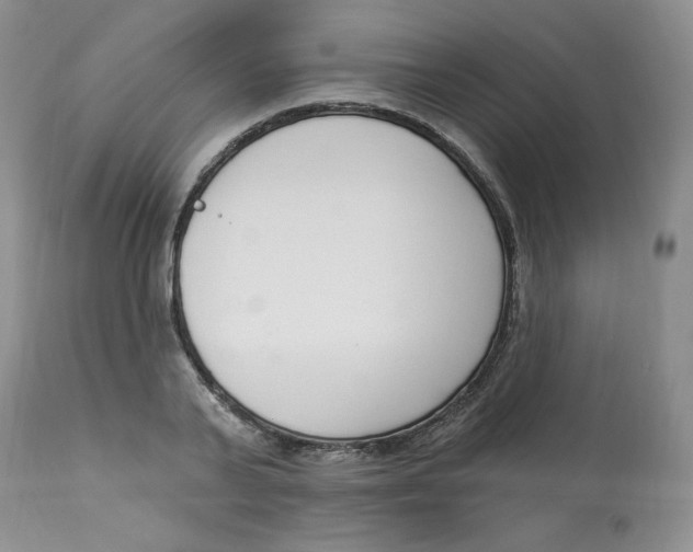 X0000112860791200909111507