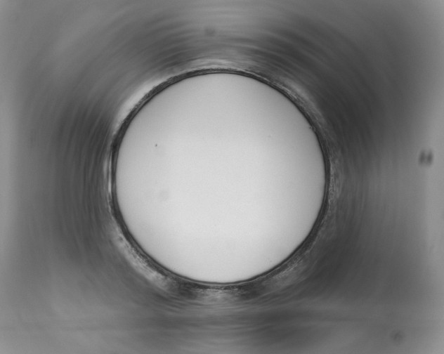 X0000112860796200909111507