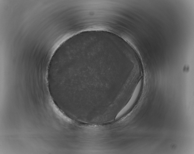 X0000112860797200909111507