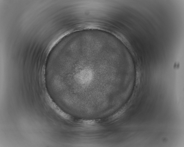 X0000112860798200909111507