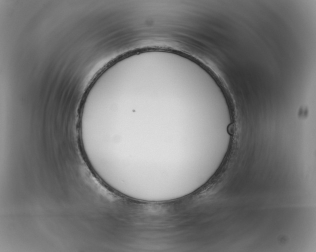 X0000112860799200909111507