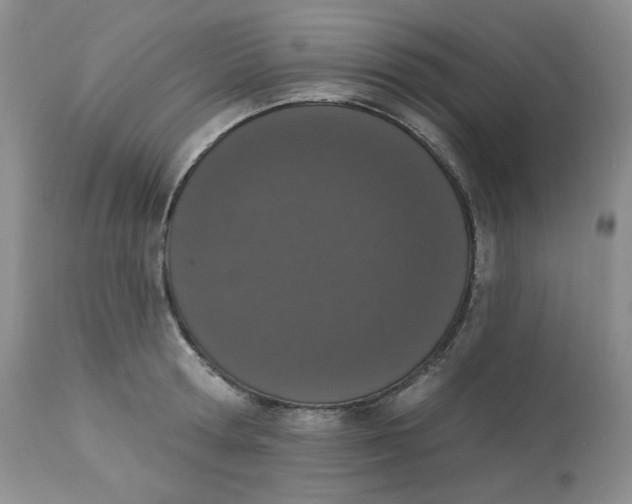 X0000112860802200909111507