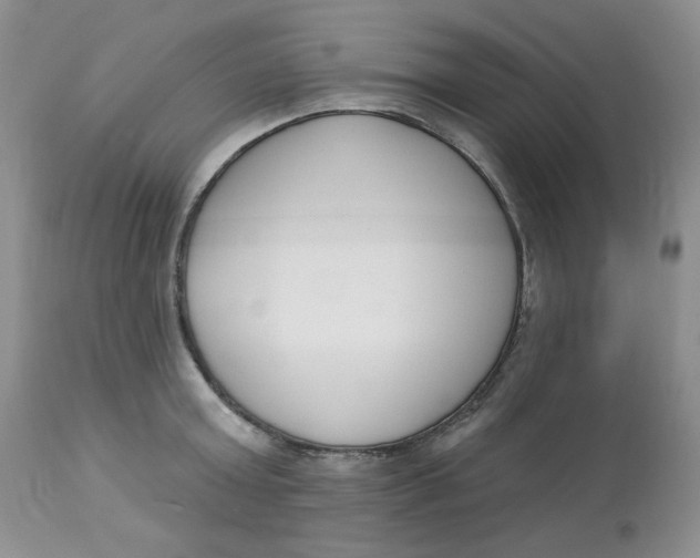 X0000112860803200909111507