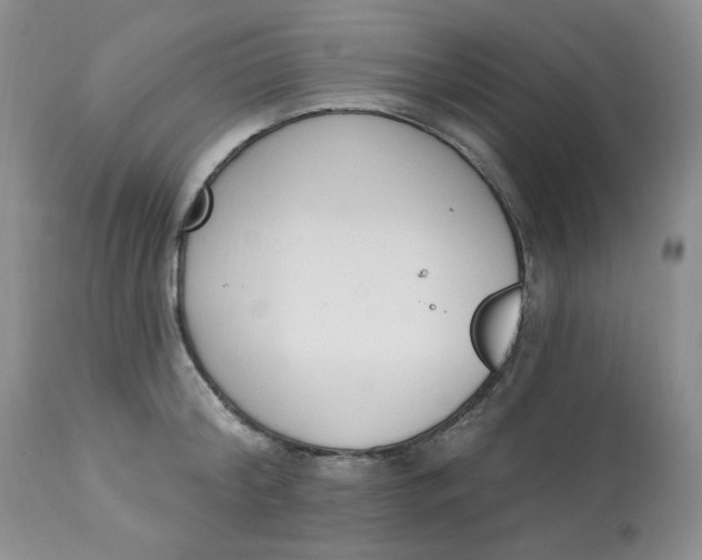 X0000112860804200909111507