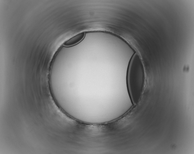 X0000112860805200909111507