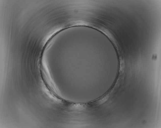 X0000112860806200909111507