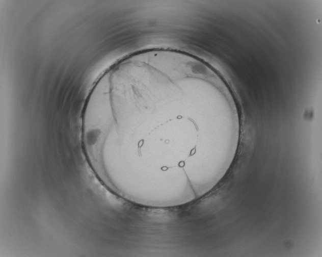 X0000112860807200909111507