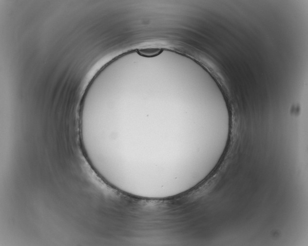 X0000112860808200909111507