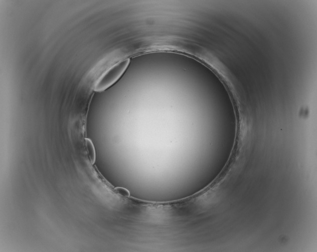 X0000112860809200909111507