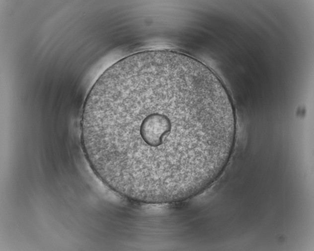 X0000112860810200909111507