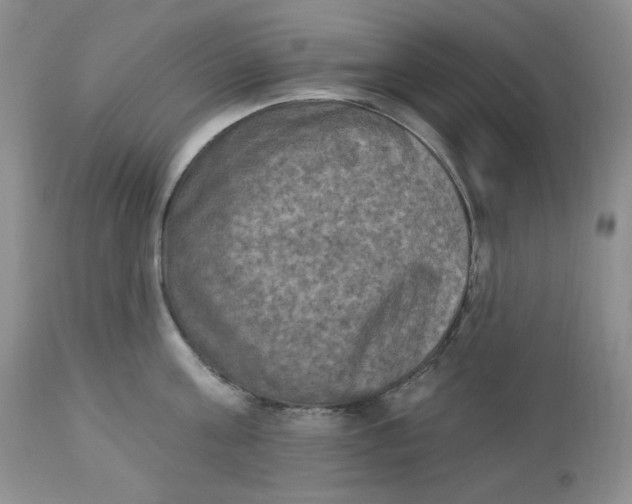 X0000112860811200909111507