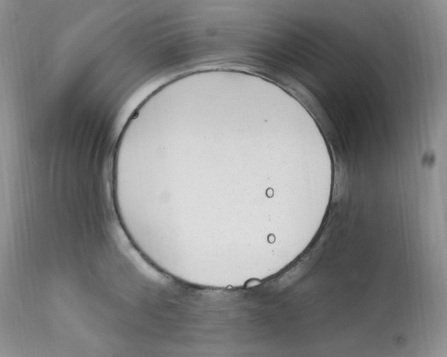 X0000112860812200909111507