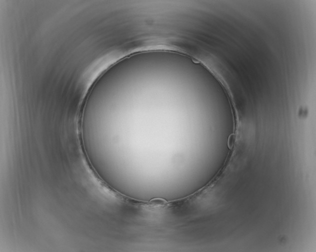 X0000112860813200909111507