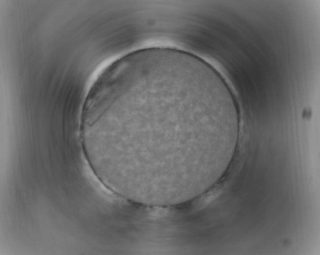 X0000112860815200909111507