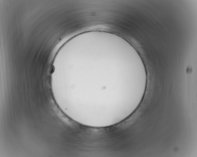 X0000112860816200909111507