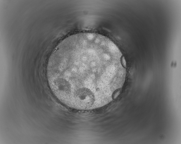 X0000112860817200909111506