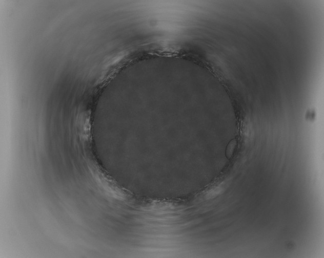 X0000112860818200909111506