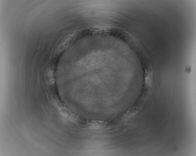 X0000112860819200909111506