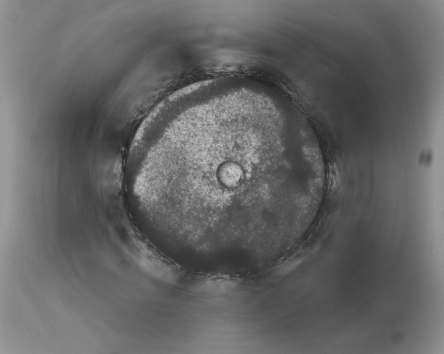 X0000112860820200909111506