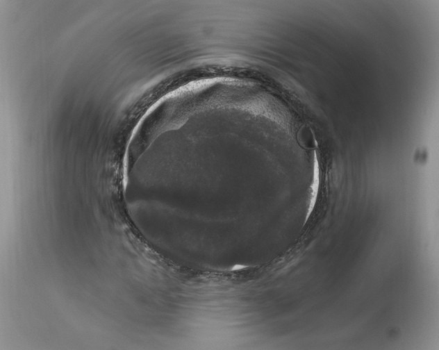 X0000112860822200909111506