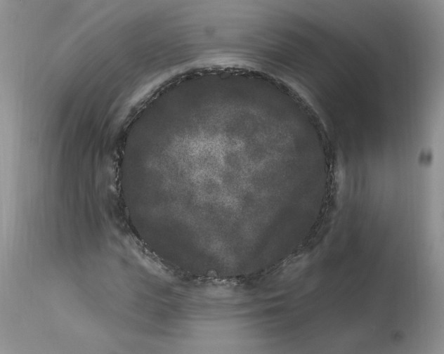 X0000112860823200909111506