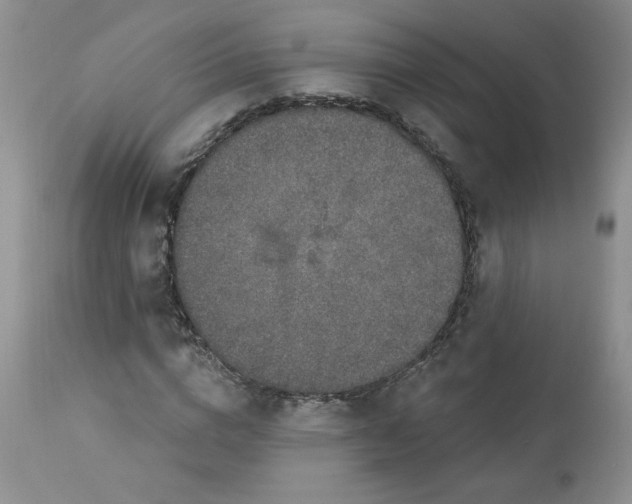 X0000112860824200909111506